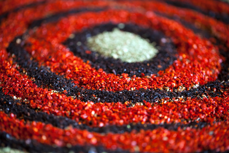 Herb Organic Spices Ingredientの写真素材