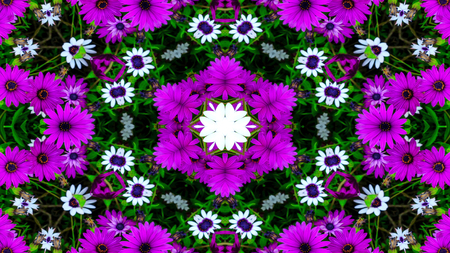 Abstract Colorful Flowers Flora Concept Symmetric Pattern Ornamental Decorative Kaleidoscope Movement Geometric Circle and Star Shapesの写真素材