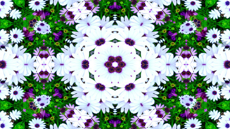 Abstract Colorful Flowers Flora Concept Symmetric Pattern Ornamental Decorative Kaleidoscope Movement Geometric Circle and Star Shapesの写真素材