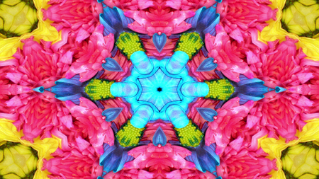 Abstract Colorful Flowers Flora Concept Symmetric Pattern Ornamental Decorative Kaleidoscope Movement Geometric Circle and Star Shapesの写真素材