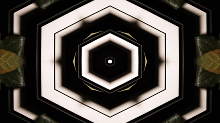 Abstract Colorful Hypnotic  Symmetric Pattern Ornamental Decorative Kaleidoscope Movement Geometric Circle and Star Shapesの写真素材