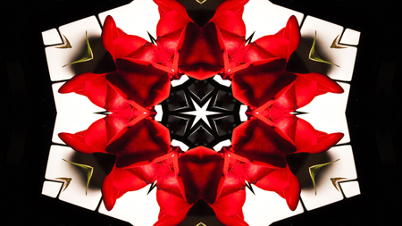 Abstract Colorful Hypnotic  Symmetric Pattern Ornamental Decorative Kaleidoscope Movement Geometric Circle and Star Shapesの写真素材