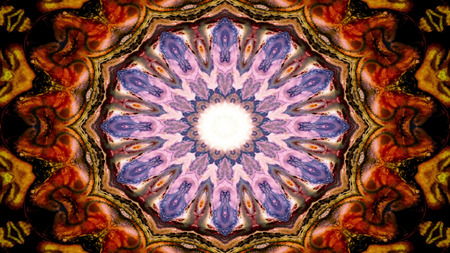 Abstract Colorful Symmetric Pattern Ornamental Decorative Kaleidoscope Movement Geometric Circle and Star Shapesの写真素材