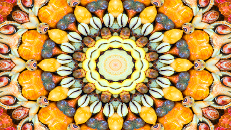 Abstract Dry Seashells and Stars  Concept Symmetric Pattern Ornamental Decorative Kaleidoscope Movement Geometric Circle and Star Shapesの写真素材