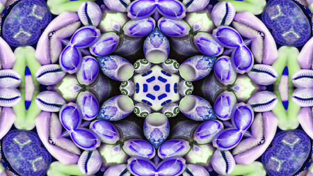 Abstract Dry Seashells and Stars  Concept Symmetric Pattern Ornamental Decorative Kaleidoscope...