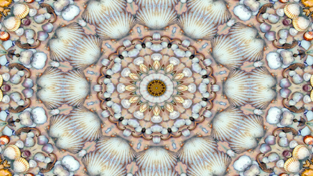 Abstract Dry Seashells and Stars  Concept Symmetric Pattern Ornamental Decorative Kaleidoscope...