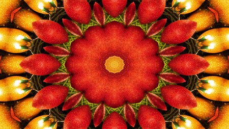 Abstract Vegetable Food Concept Symmetric Pattern Ornamental Decorative Kaleidoscope Movement Geometric Circle and Star Shapesの写真素材
