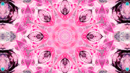 Abstract Paint Brush Ink Explode Spread Smooth Concept Symmetric Pattern Ornamental Decorative Kaleidoscope Movement Geometric Circle and Star Shapesの写真素材