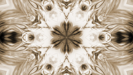 Abstract Paint Brush Ink Explode Spread Smooth Concept Symmetric Pattern Ornamental Decorative Kaleidoscope Movement Geometric Circle and Star Shapesの写真素材