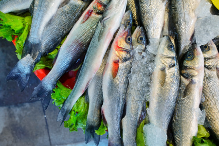 Raw Fish Food in a Fish Market Stand