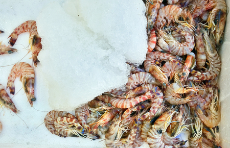 Raw Fish Food in a Fish Market Standの写真素材