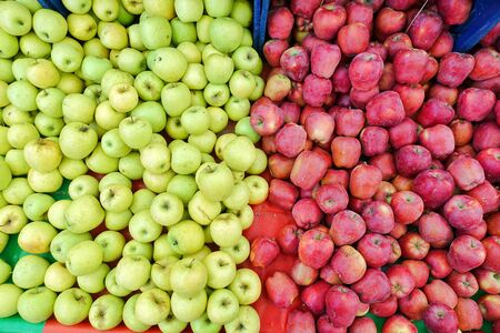 Fruit Red and Green Healthy Organic Appleの写真素材