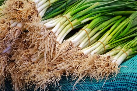 Healthy Green and Fresh Vegetable Leek in Groceryの写真素材