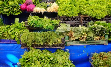 Healthy and Fresh Vegetable Green Vegetables in a Bazaar
