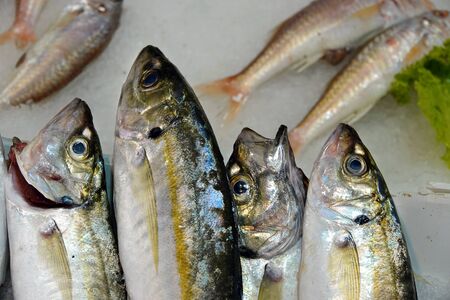 Raw Fish Meat Food on Ice Photoの写真素材