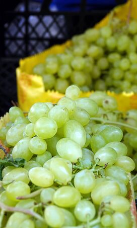 Organic Juicy and Looks so Delicious Fruit Grapeの写真素材