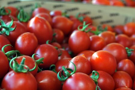 Organic Vegetable Juicy Tomato in Grocery  Photoの写真素材