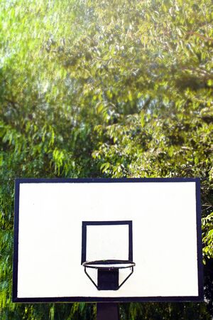 Sport Fit and Healthy Life Concept Basketball Photoの写真素材