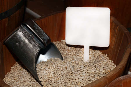 Healthy and Fresh Raw Food White Bean Close Up