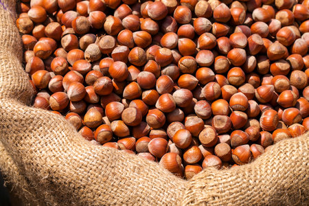 Healthy and Energy Storage Food Hazelnut Close Up