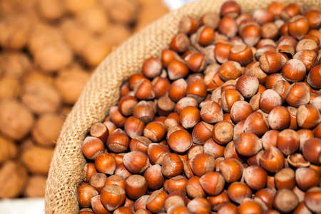 Healthy and Energy Storage Food Hazelnut Close Up