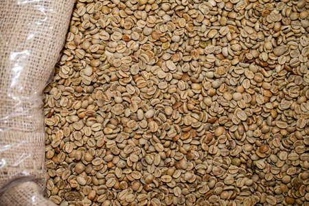 Fresh Raw Roasted Coffee Beans close Upの写真素材