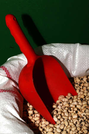 Raw Food Legume Kidney Bean Close Up