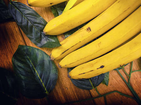 Organic and Healthy Fruit Banana and Leavesの写真素材