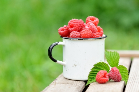 fresh raspberry in enamel cups on natural wooden backgroundの写真素材