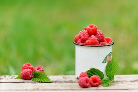 fresh raspberry in enamel cups on natural wooden backgroundの写真素材
