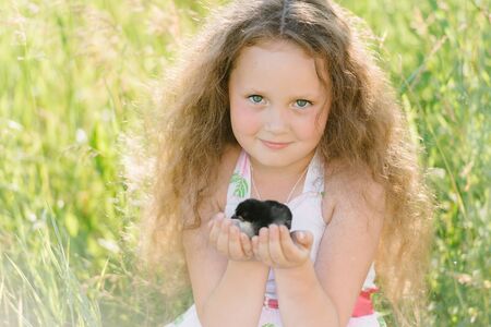 Little girl having fun playing with duck or chicken. Toddler kids outdoor. Happy child laughing and smiling.の写真素材