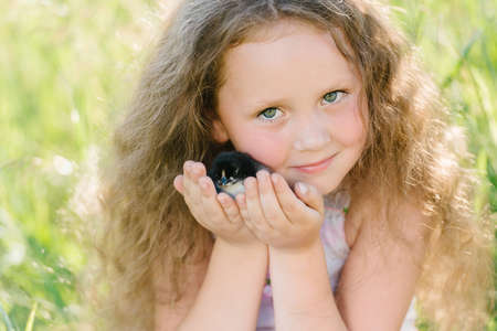 Little girl having fun playing with duck or chicken. Toddler kids outdoor. Happy child laughing and...