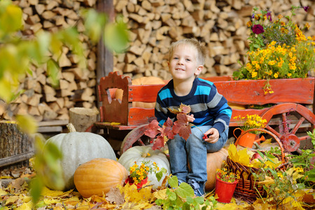 Happy young boy picking a pumpkin for Halloween. Little kid sitting on cart. Autumn harvestの写真素材