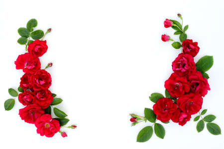 Frame of red roses on a white background with space for text.の写真素材