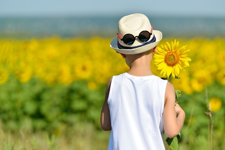 Adorable boy in hat holding sunflower behind his back on yellow field blue sky outdoorsの写真素材