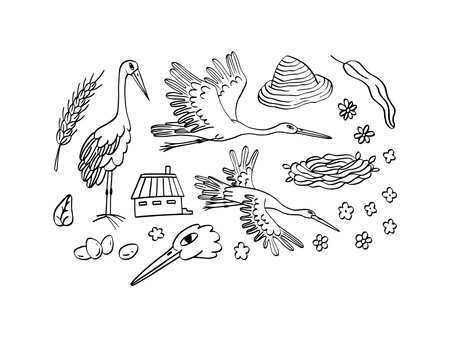 Set of storks and home. storks, beaks, birds illustration in doodle style.のイラスト素材