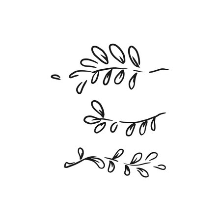 Hand drawn doodle leaves. illustration isolated on white background.のイラスト素材