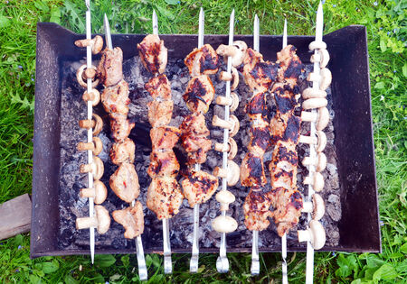 picnicの写真素材