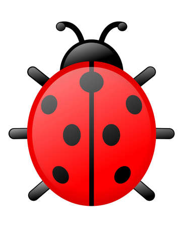 Ladybirdの写真素材