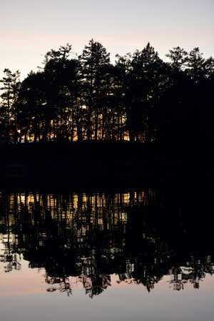 Trees reflected in still water, Wallace Island, Gulf Islands, British Columbia, Canadaの写真素材