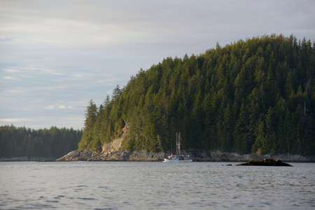 Fishing boat heading out of Tofino Harbour, Tonquin Beach, British Columbia, Canadaのeditorial素材