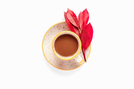 Coffee cup with red autumn brunch with leaves. Isolated on white background fall scene. Morning soft light illumination. Design resources for social media postsの写真素材