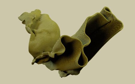 3d rendering illustration of soft cloth warm earthy green material on flat background. Horizontal...