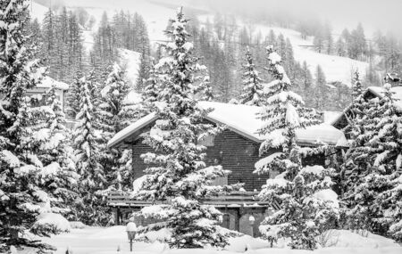 Mountain lodge between pine trees in a snow holiday sceneryの写真素材