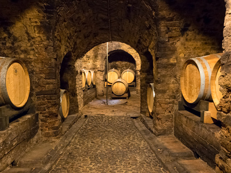 Several wooden wine barrels stocked in an ancient medieval cellar located in Neive, town in Langhe...