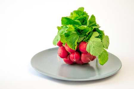 a bunch of a small red radish lying on an empty plate on a white isolated backgroundの写真素材