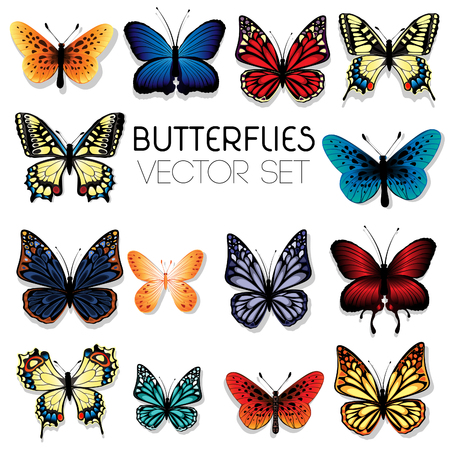 colorful butterflies set isolated on whiteのイラスト素材