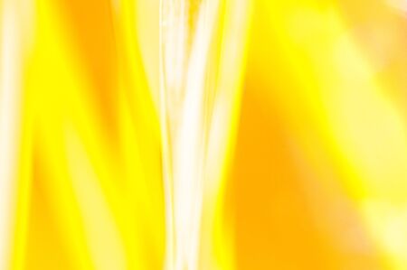 backband stripes in yellow and orange colorsの写真素材
