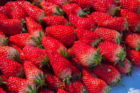 strawberryの写真素材