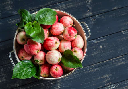 Fresh ripe garden apples in a enameled bowl on a dark wooden backgroundの写真素材